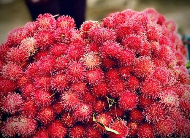 Fruits kingdoms 