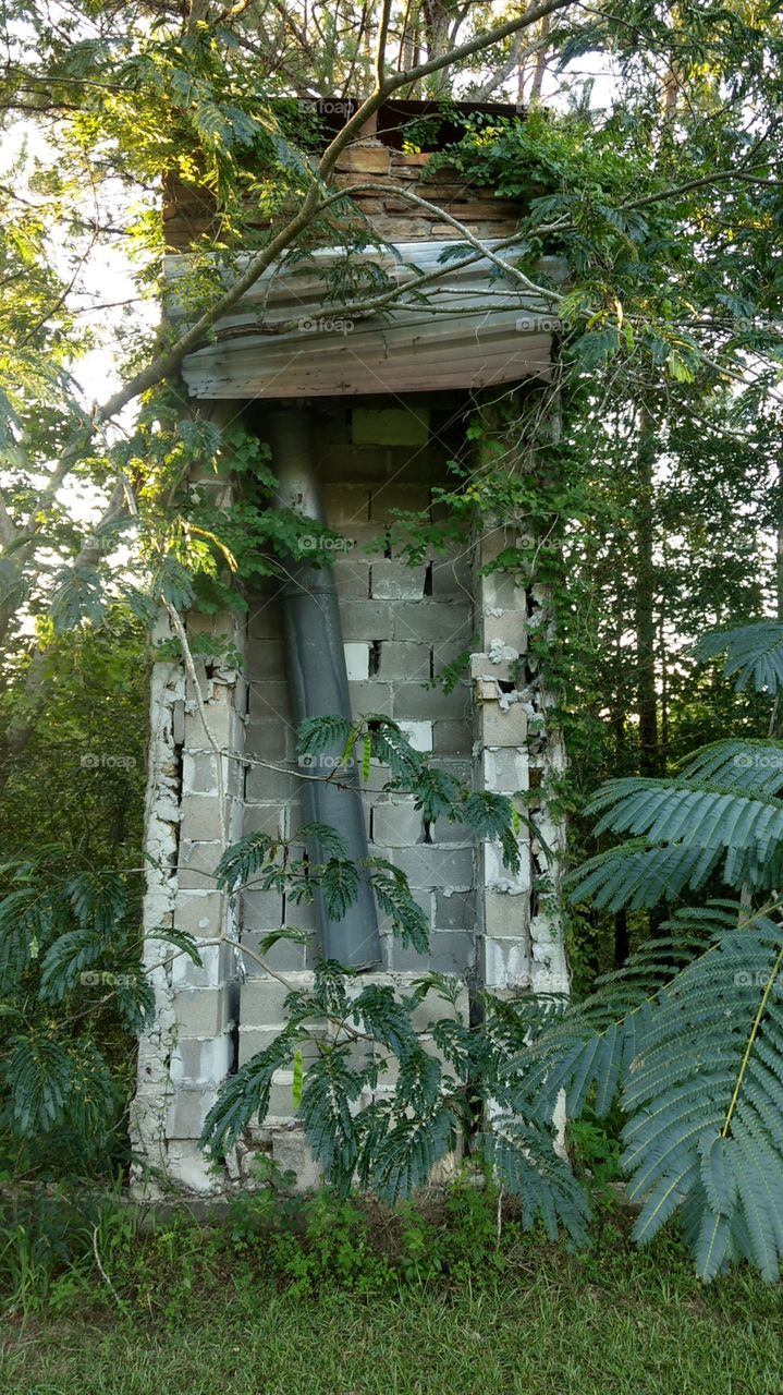 old fire stack in the woods