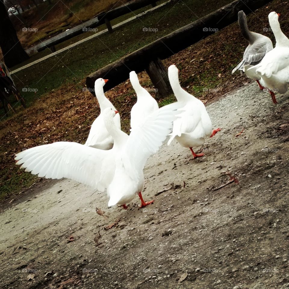 Should I stay or should I go?