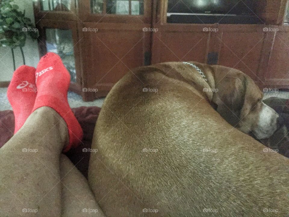 Relaxing with my dog