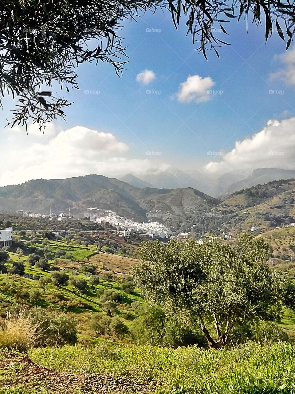 Panorama view on Tolox, Andalucia