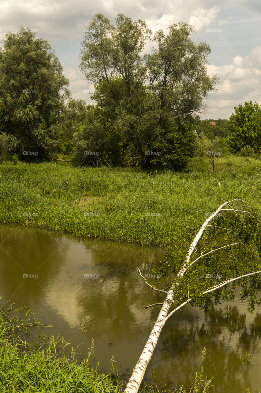 river Bug in drohiczyn, Poland
