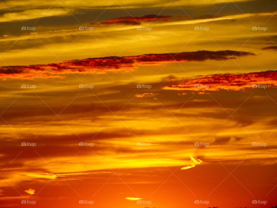 Low angle view of orange sky