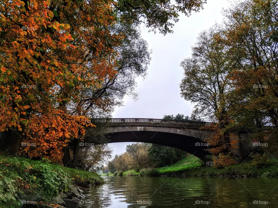 Autumn vibes 