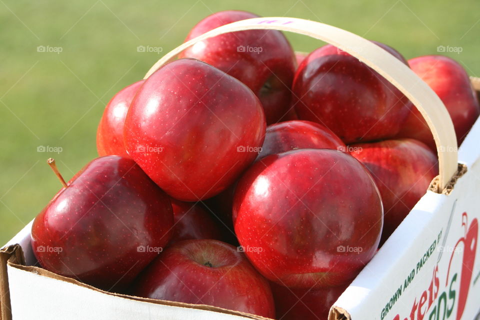 Apple Basket