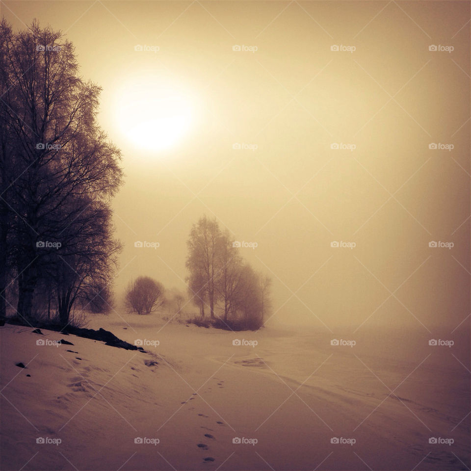 Yet another misty morning