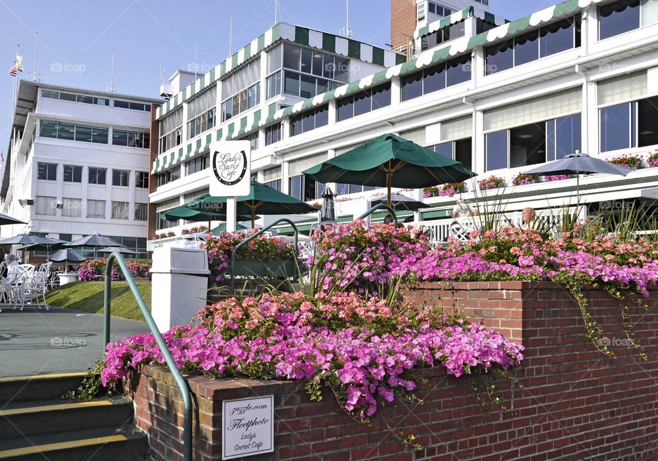 Monmouth Park Closing Day

#MonmouthPark #Horseracing #HorseracingGifts #Grandstand #Clubhouse
#Racetrack #JerseyShore
Zazzle.com/fleetphoto
