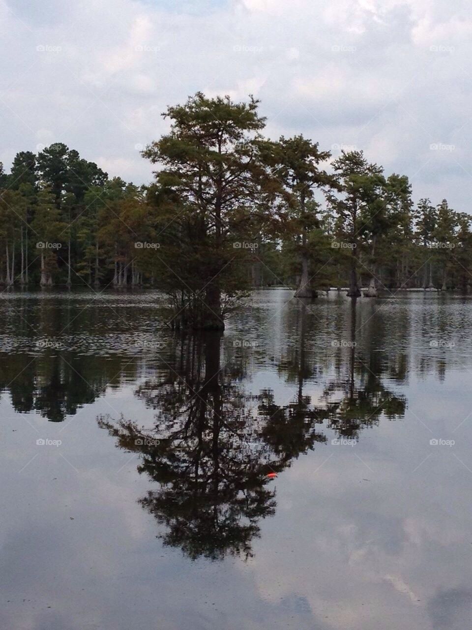 Lake reflection