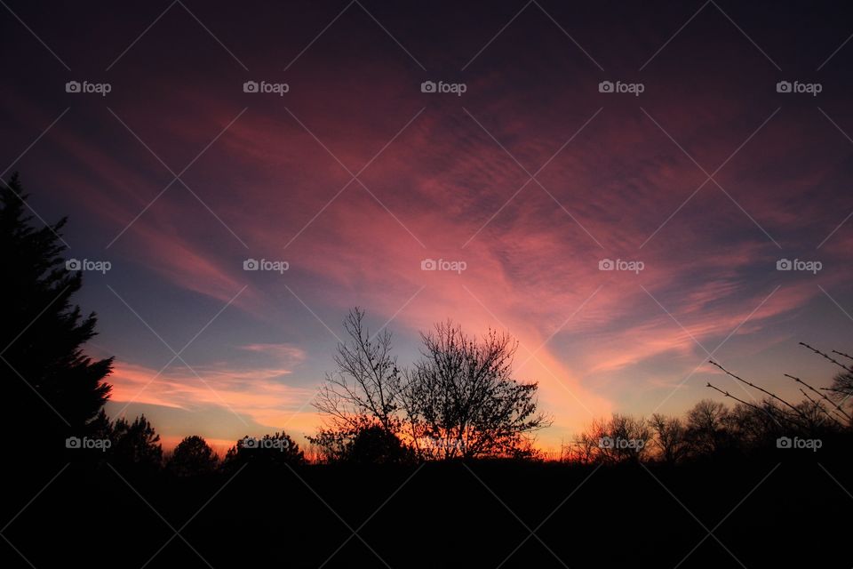 Front yard sunset sky