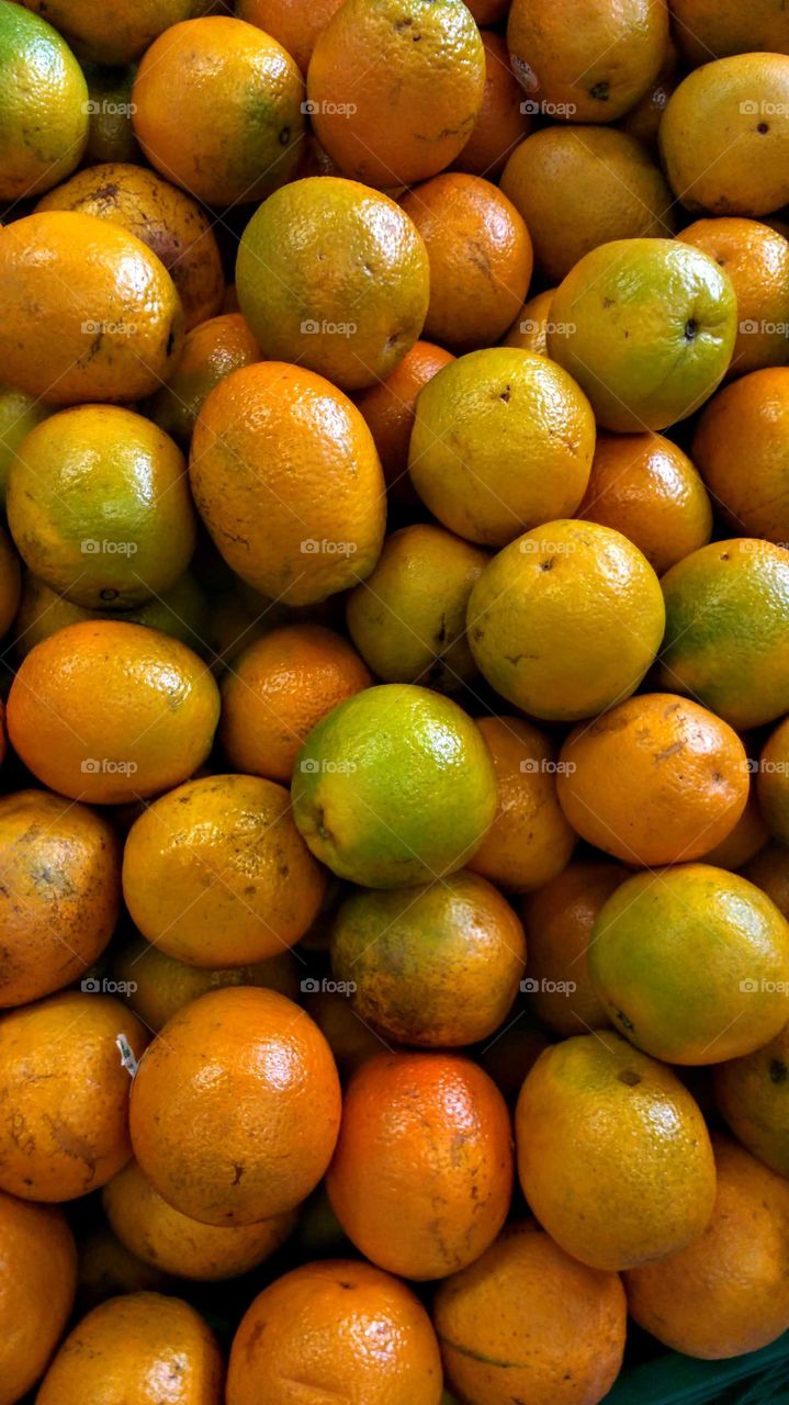 laranja pera do Rio