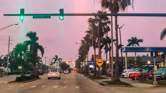 Florida Views