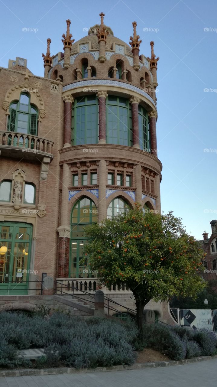 Hospital de la Santa creu i Sant pau