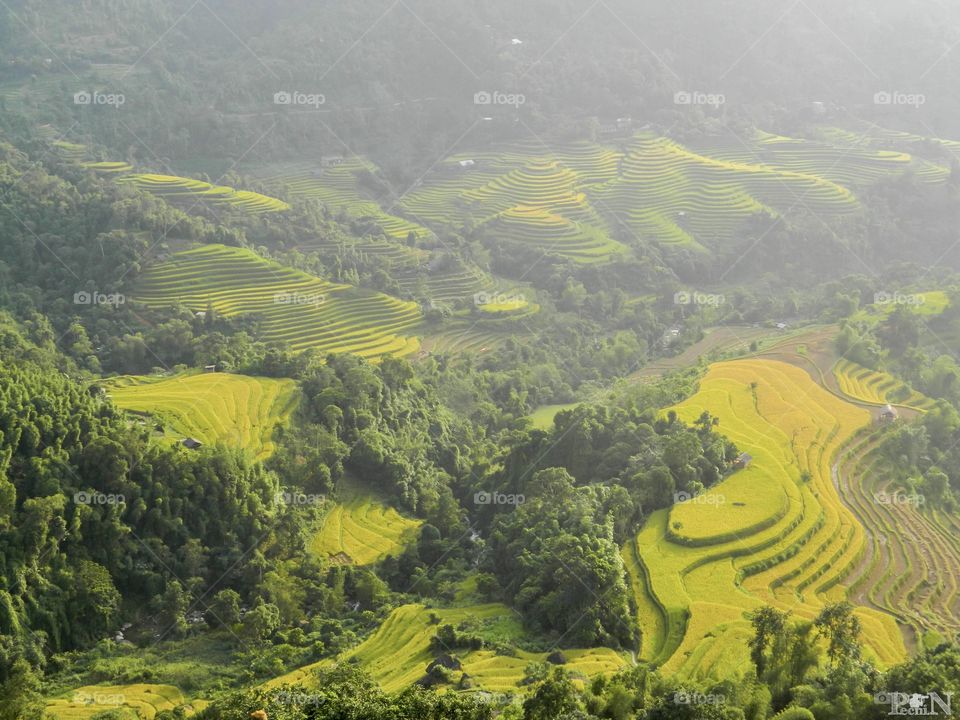 Hoàng Su Phì District.