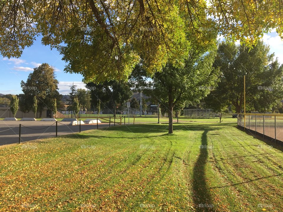 Beautiful autumn day 