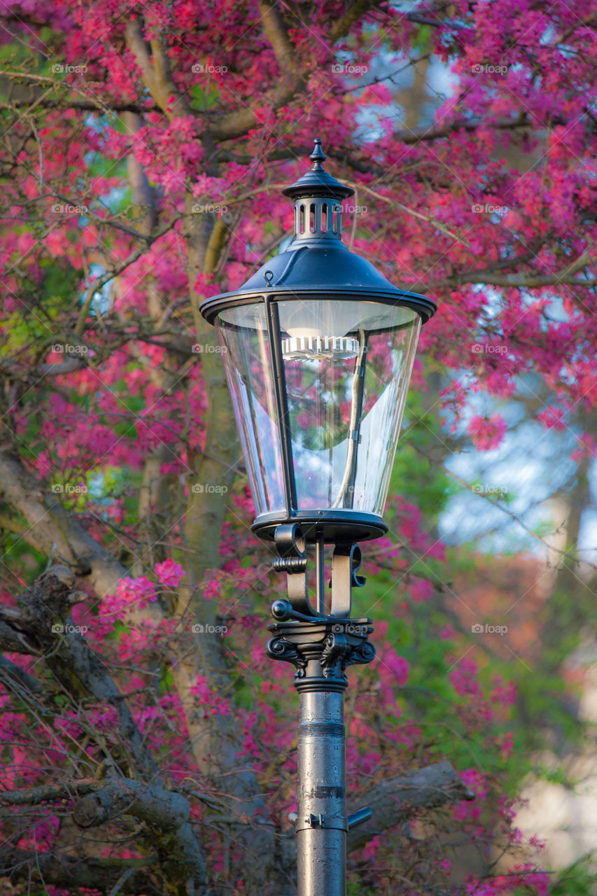 Old city park gaslamp