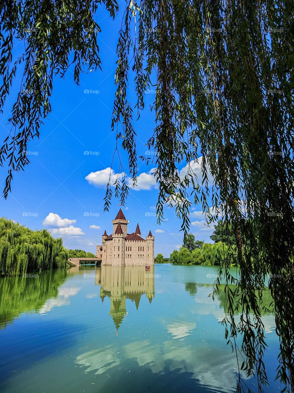 Castle on the lake in the forest