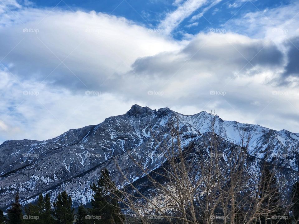Rocky mountains speckled with trees