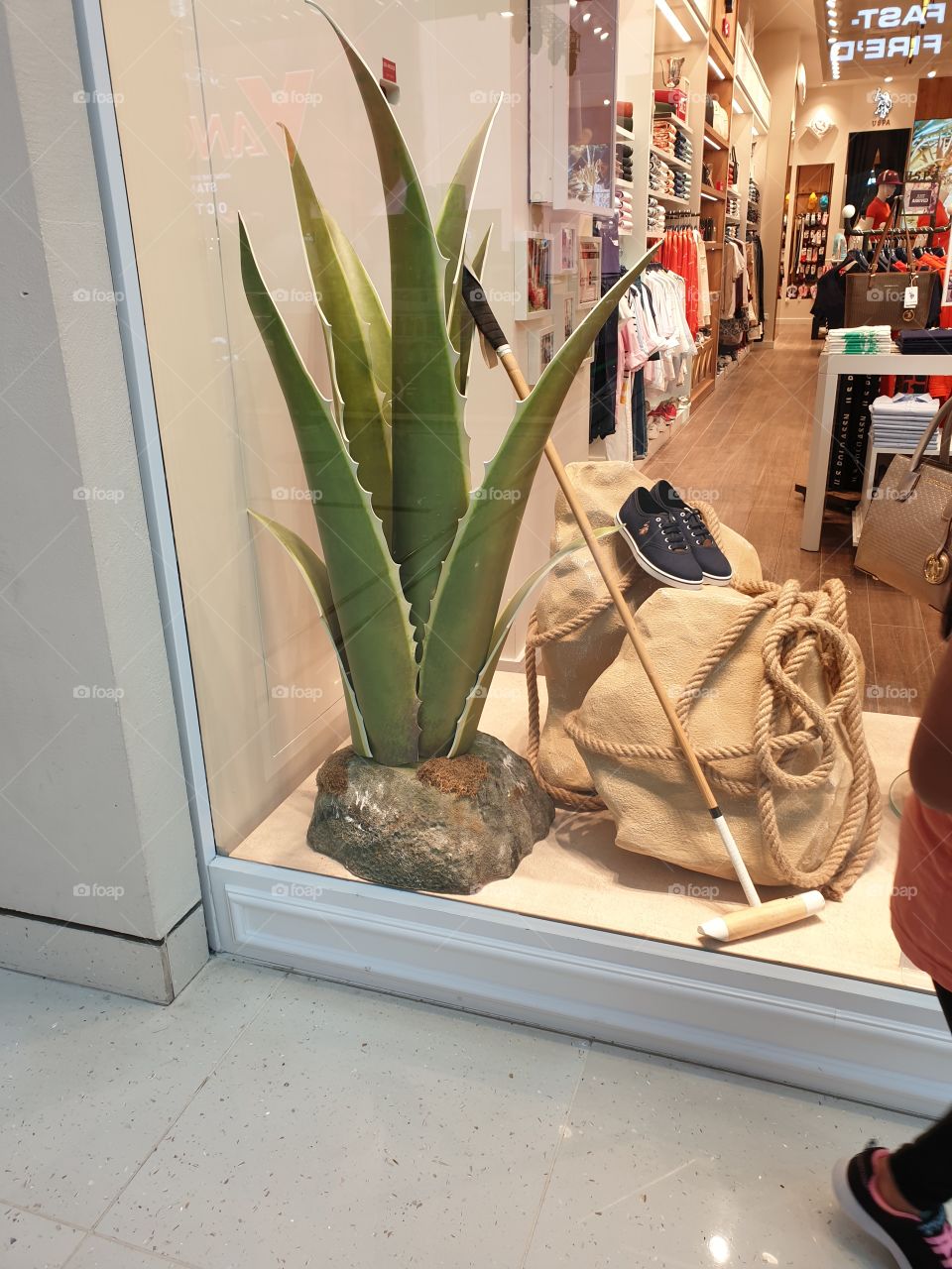 plant at display