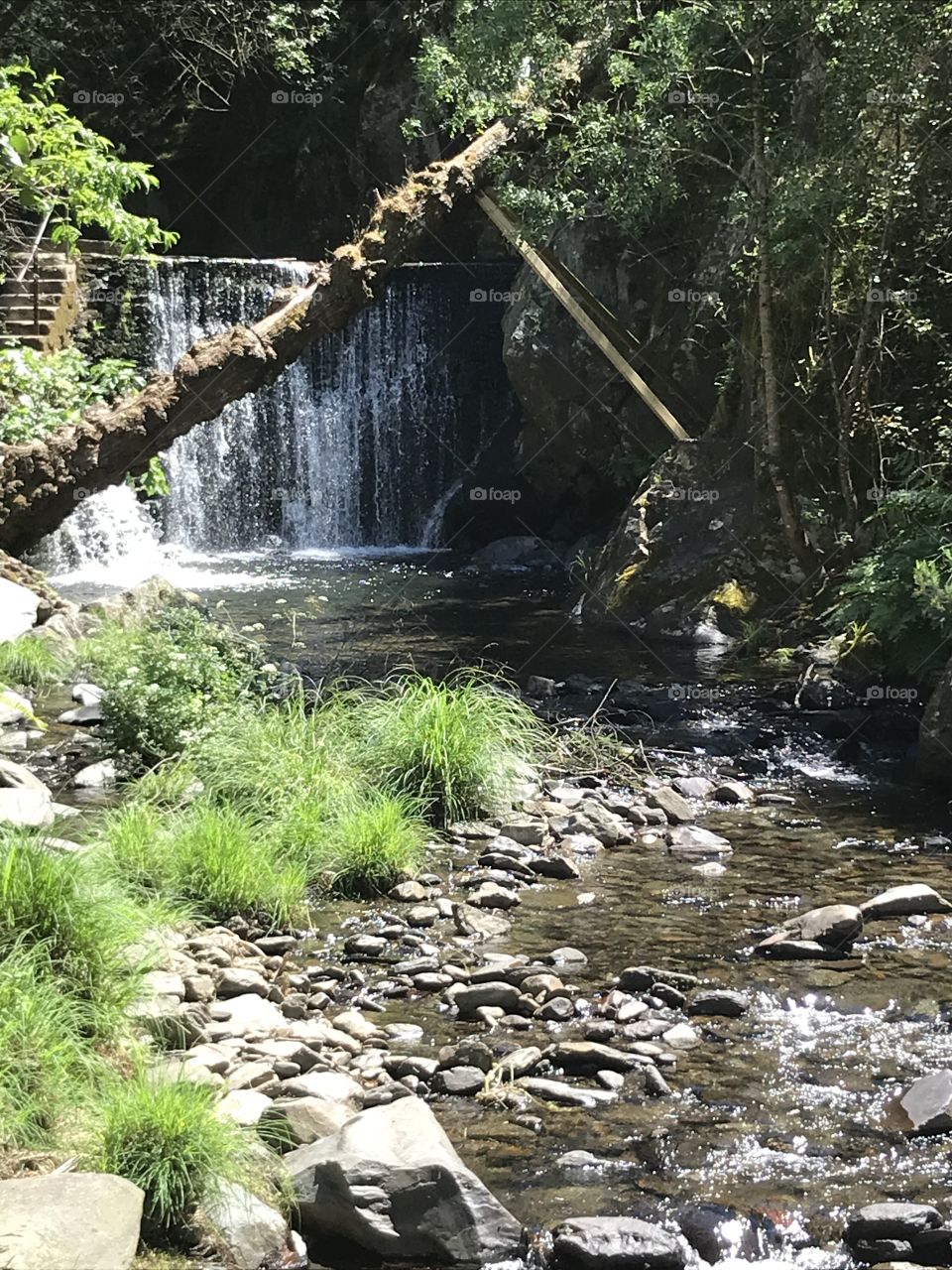 Lousã, Portugal 🇵🇹