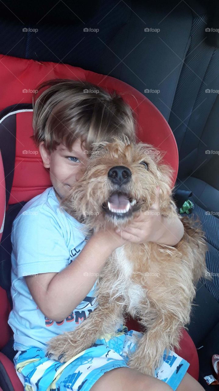 child playing with the dog