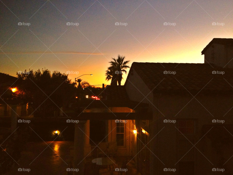 union city sunset california palm tree by mgarvida