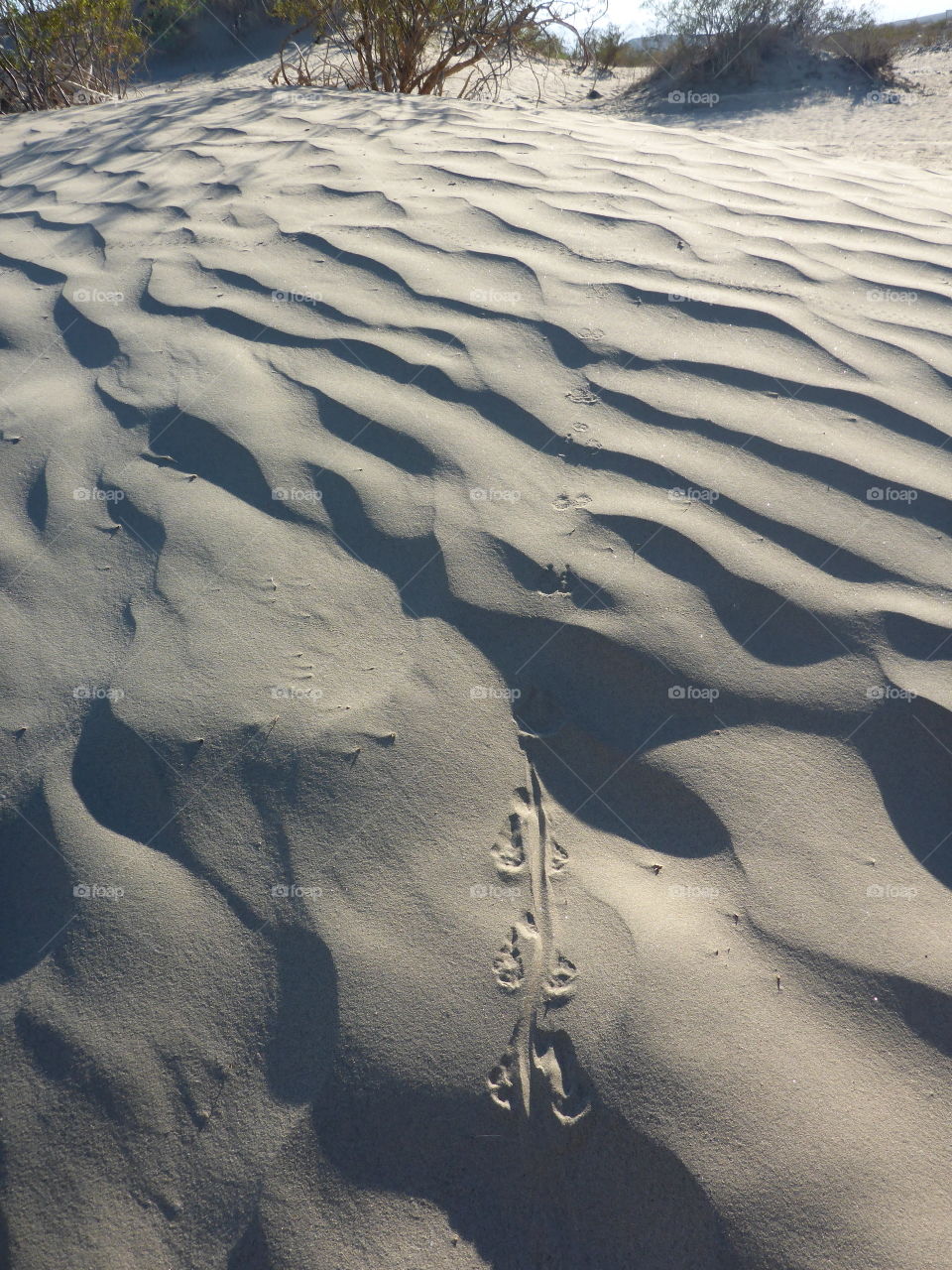 Sand patterns