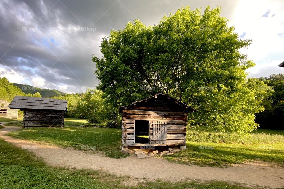 Scenic little old house with cloudy sky and bushy tree 