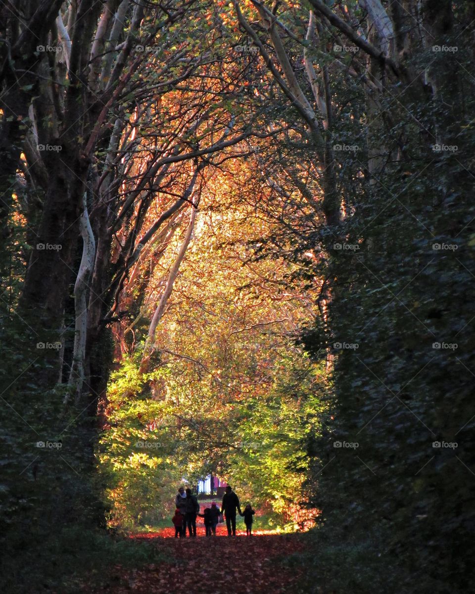 Family stroll