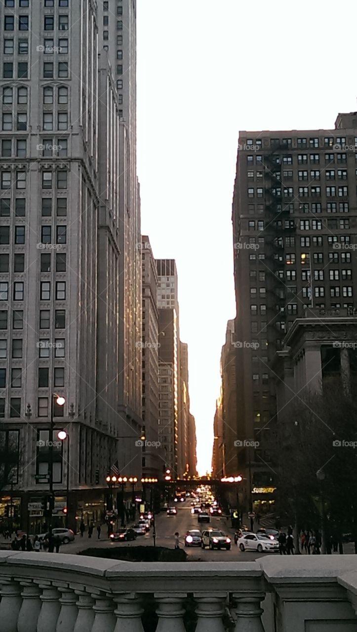 Michigan Avenue at dusk. Millennium Park, Chicago