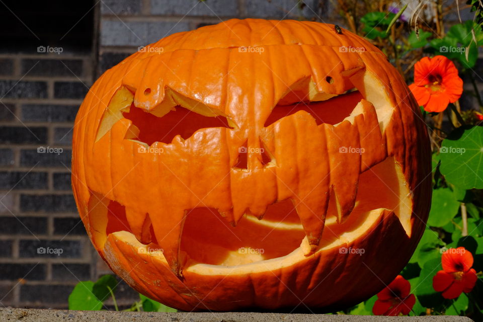 Carved pumpkin 🎃