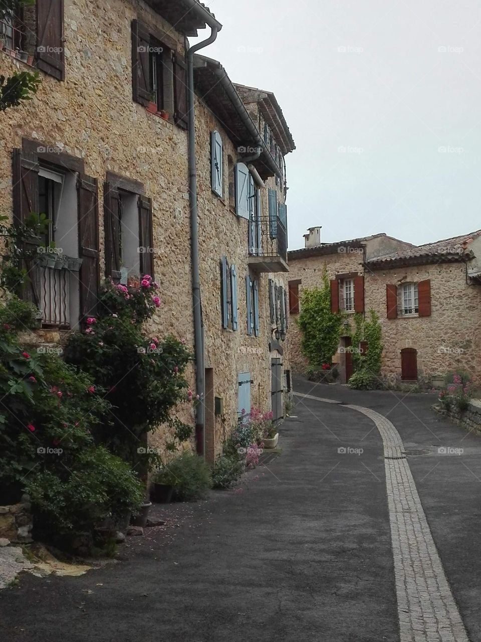 Thé gorges du Verdon , Ardèche , France