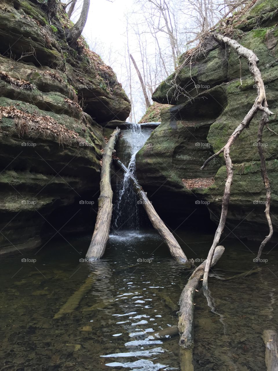 Fallen branches and pool of water under sandstone rock formations at starved rock park in Illinois 