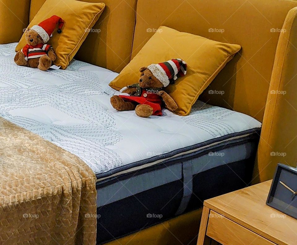 The bad and taddy bear