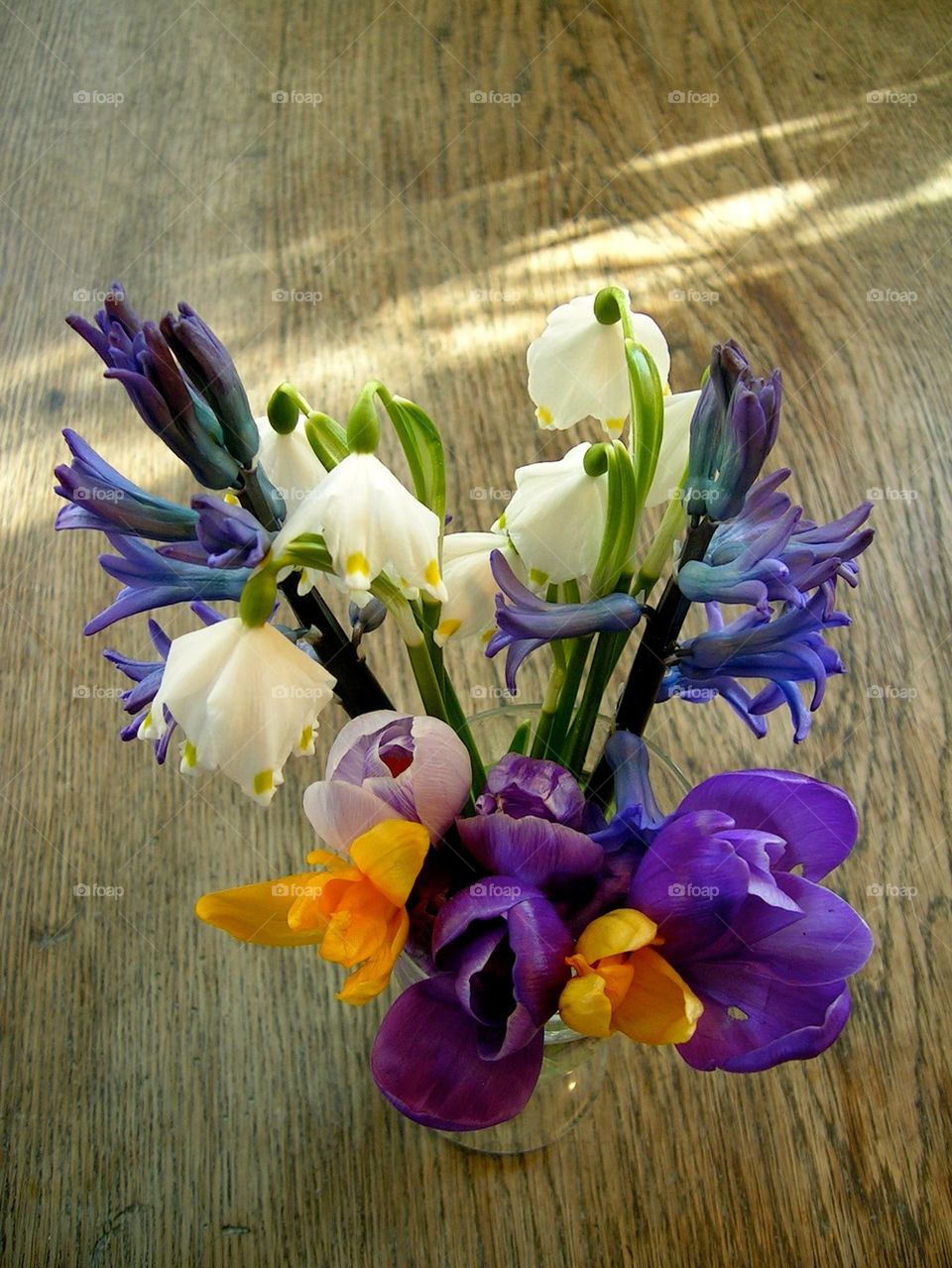 sweden spring flowers of by ylvafloreman