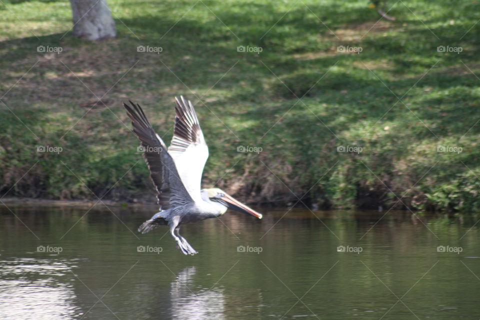 landing