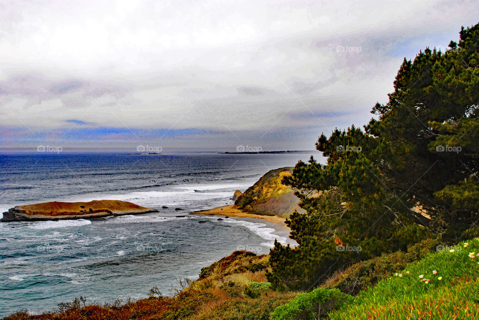 Scenic view of beach