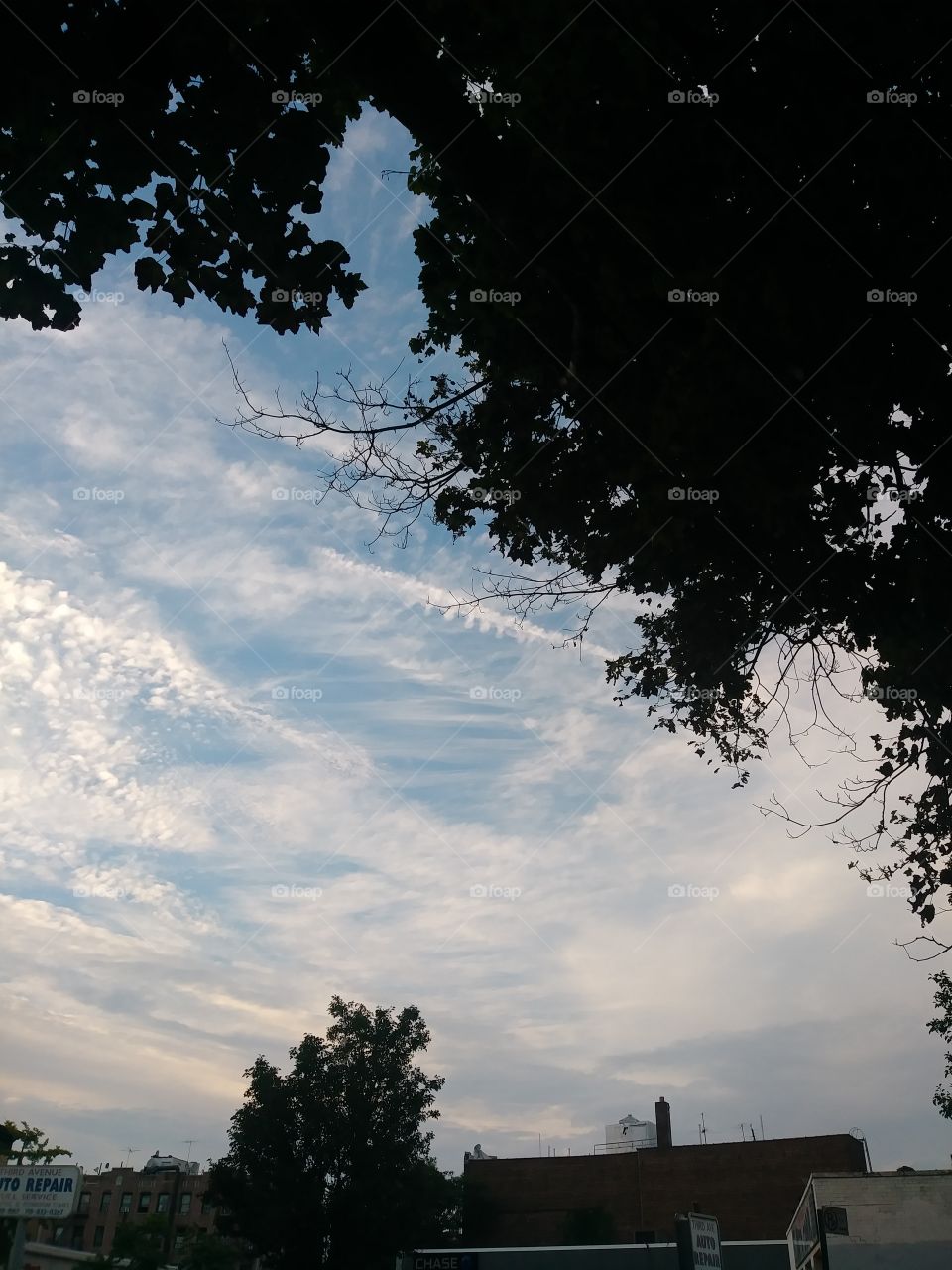 clouds at dusk with tree.