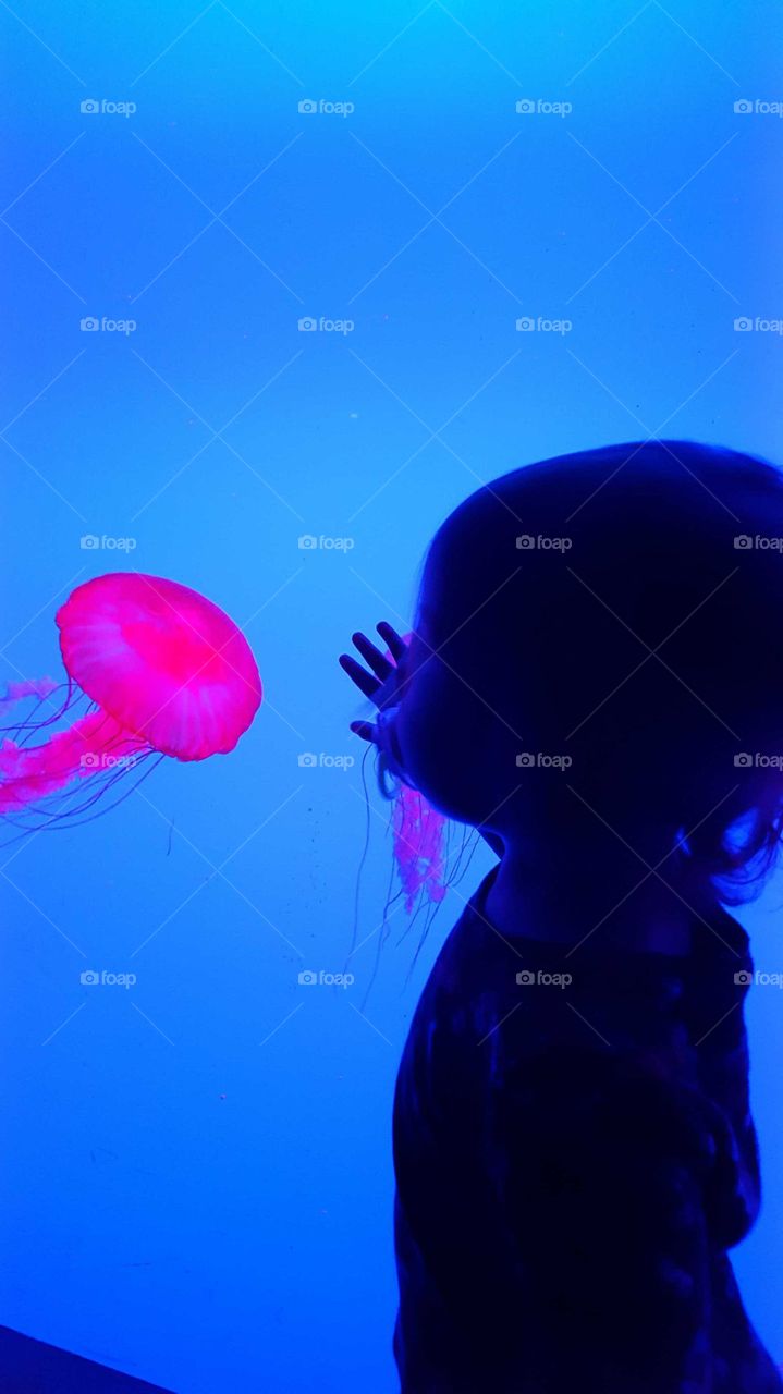 baby with jellyfish