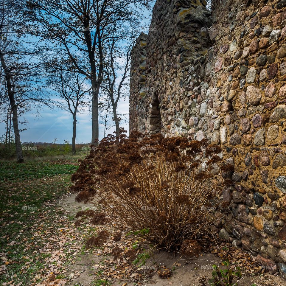 Gryżyna, Poland