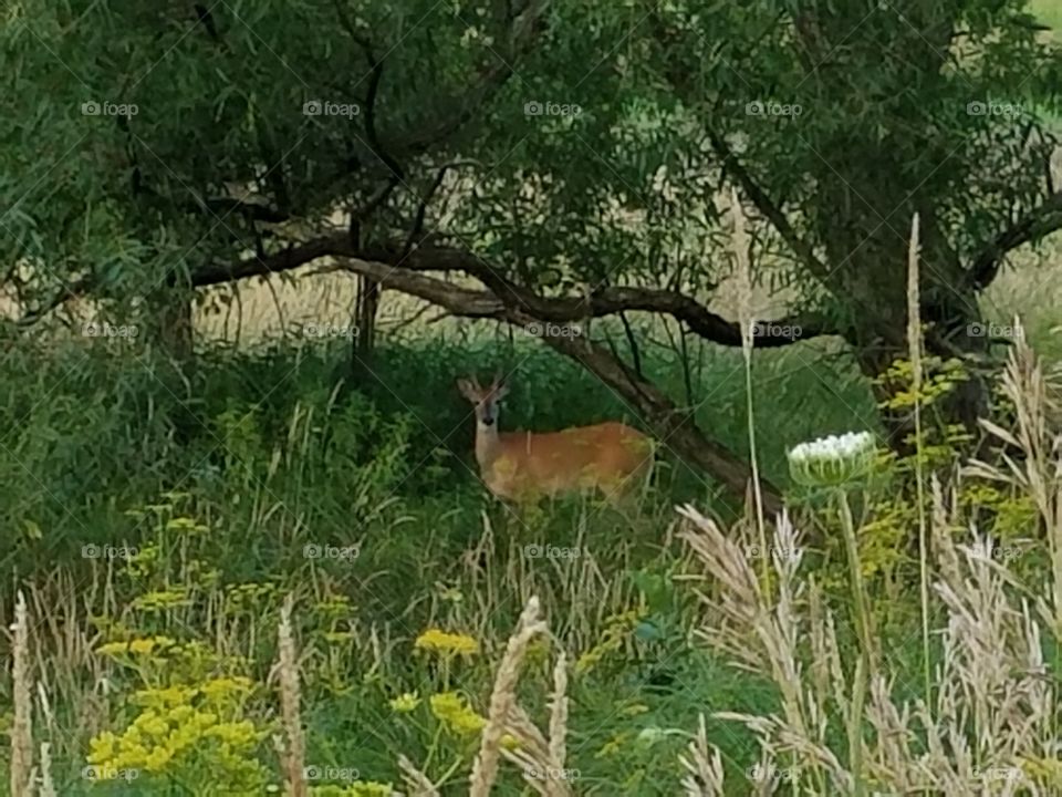 Driving the Back Roads and enjoying everything around us