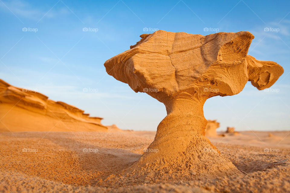 Fossil rock in the desert, unique formation