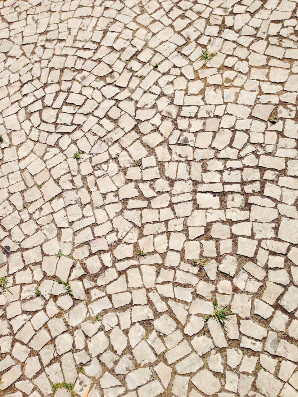 stone texture floor. stone texture floor