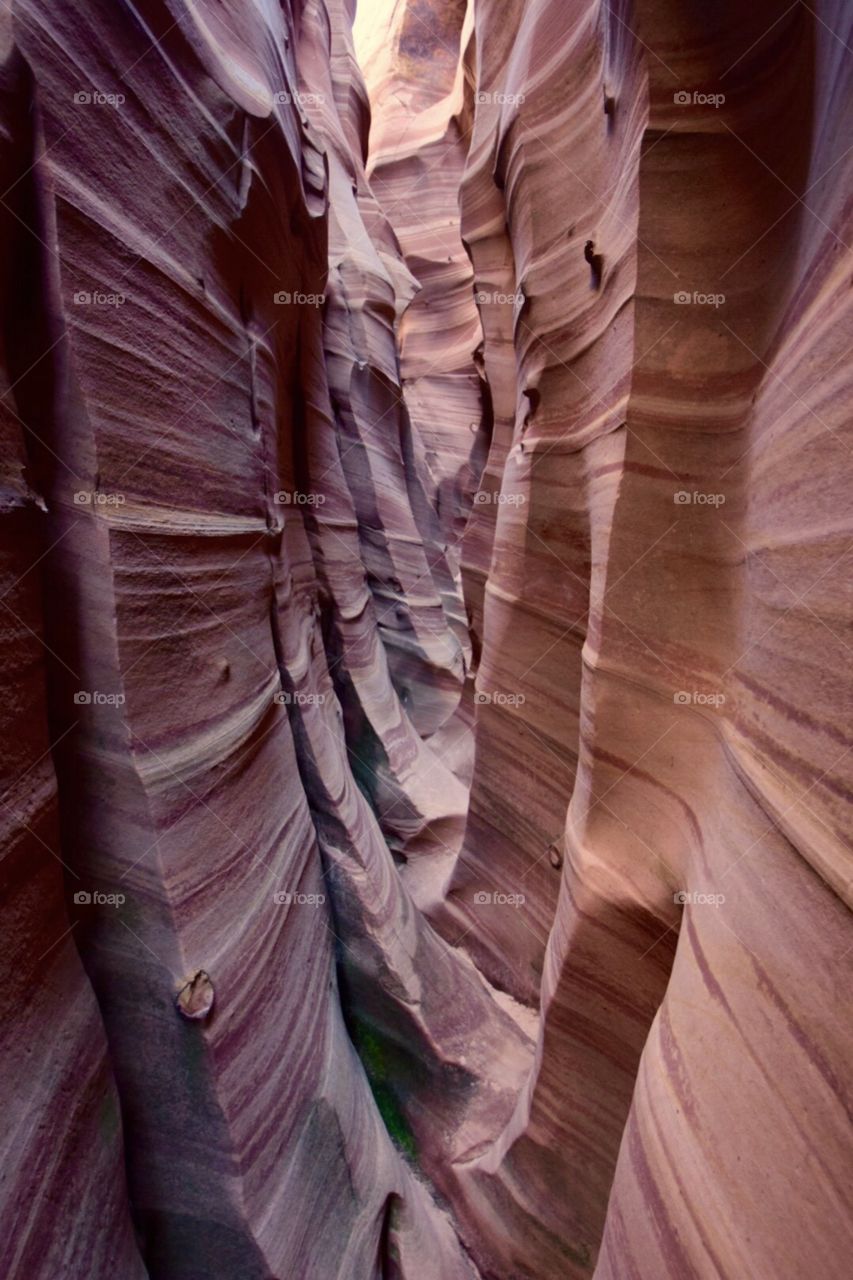 Zebra Slot Canyon 