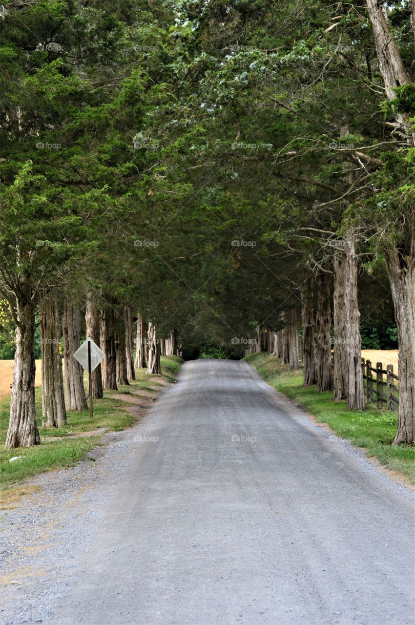 My point of view from standing in the middle