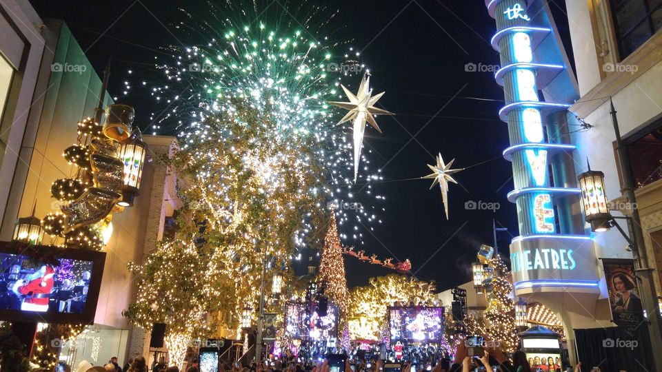 The Grove with special performance by Seth McFarlane.