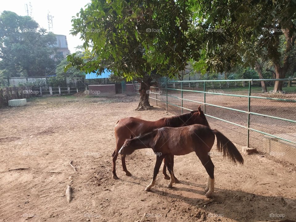 Editors' Choice:Photo of the week