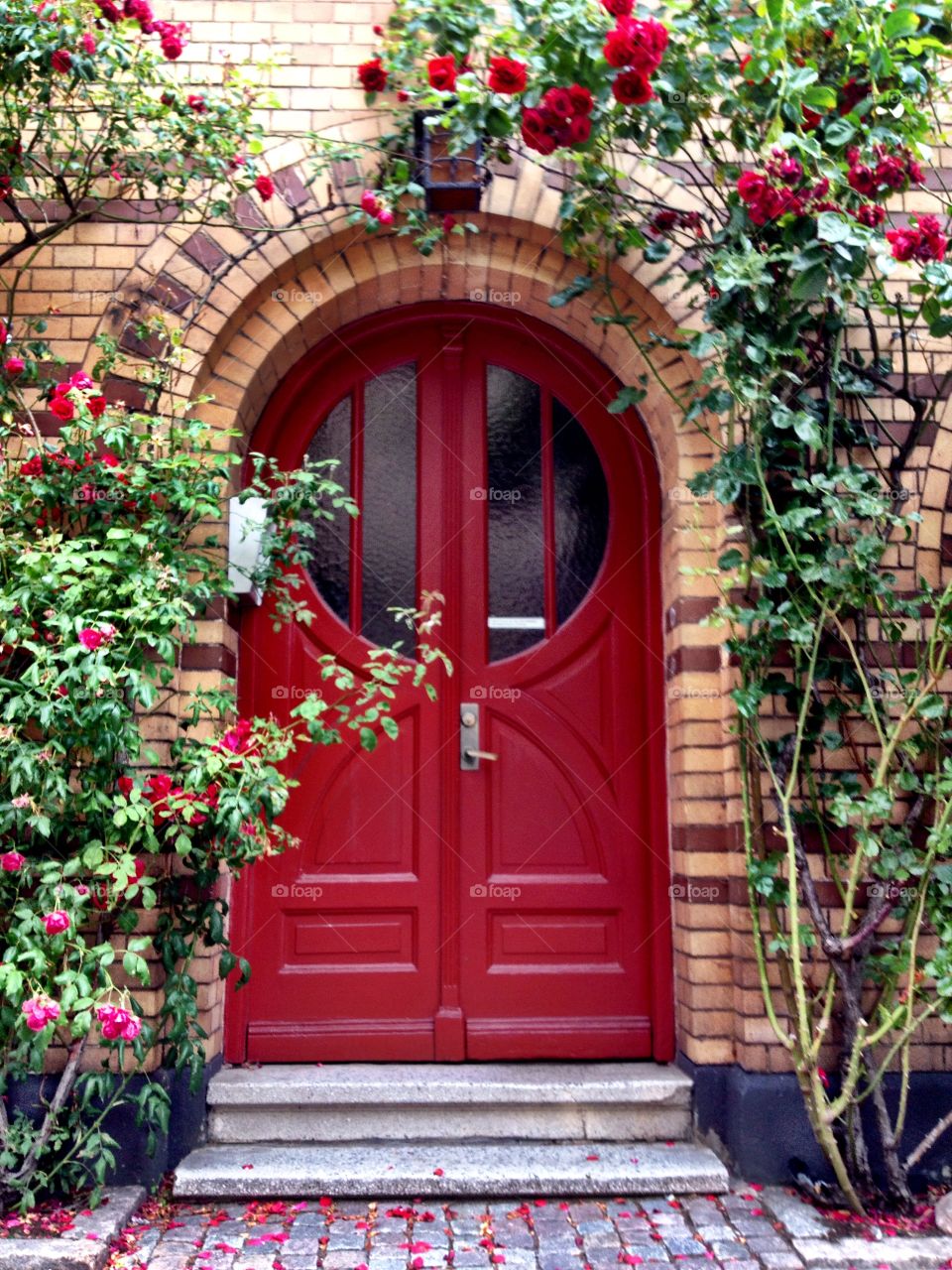 Red door with red roses