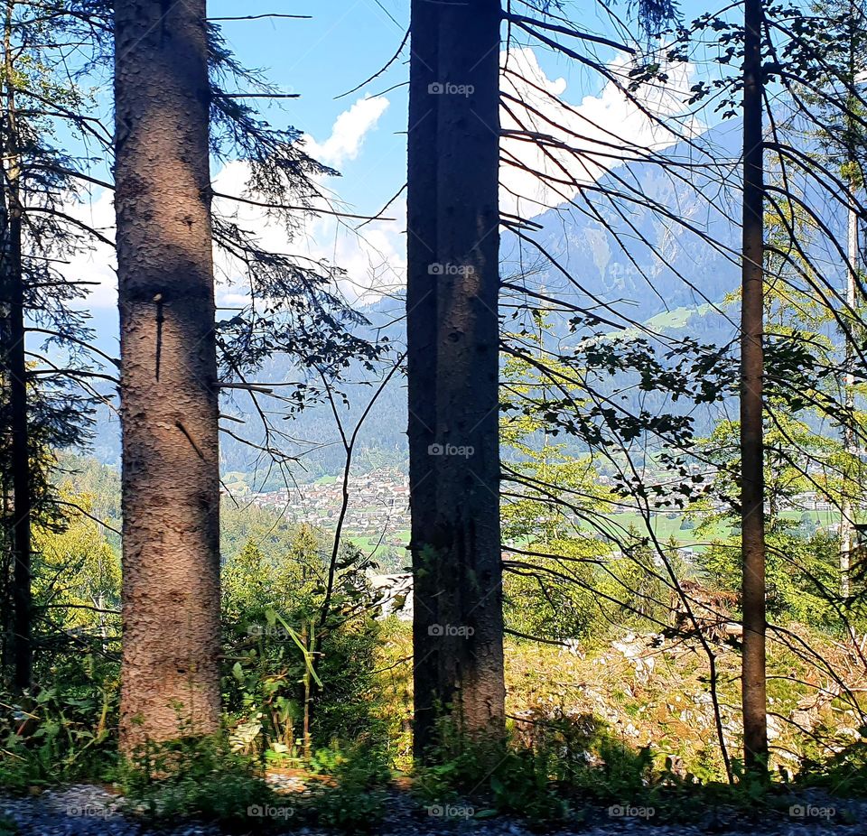 Photographed between the trees to the village