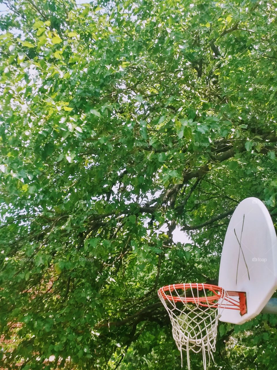 basketball in the sun