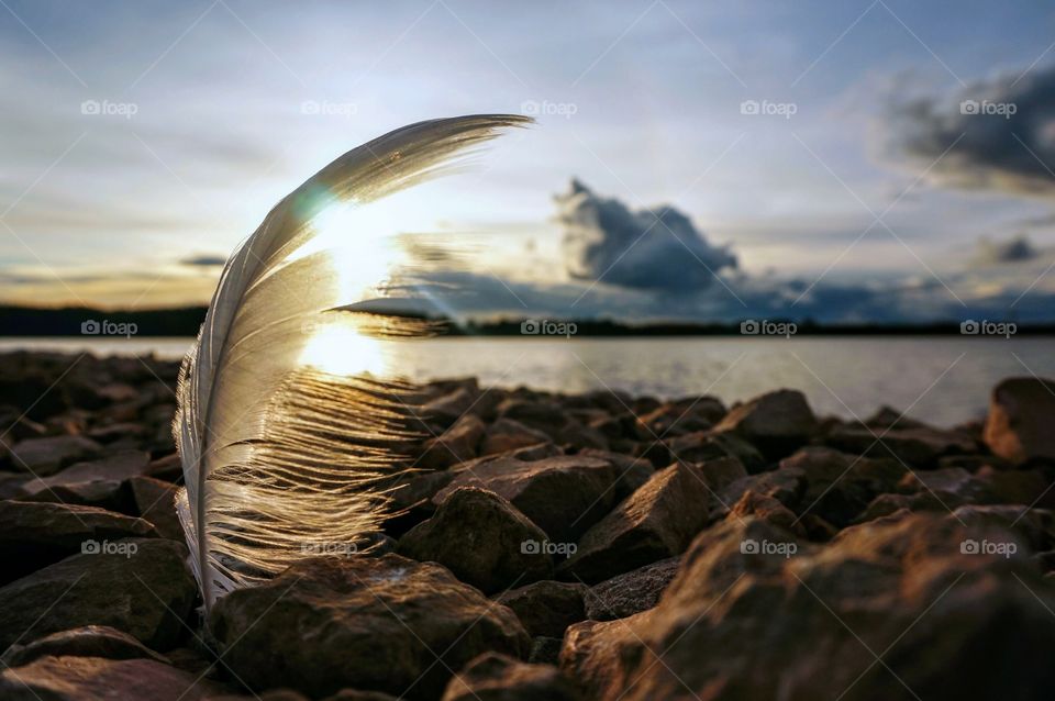 Feather sunset